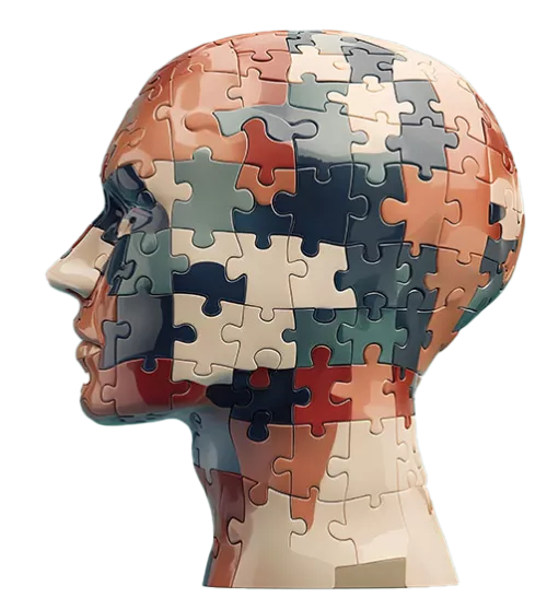 vicarious-trauma-jfs-skull-model-puzzle